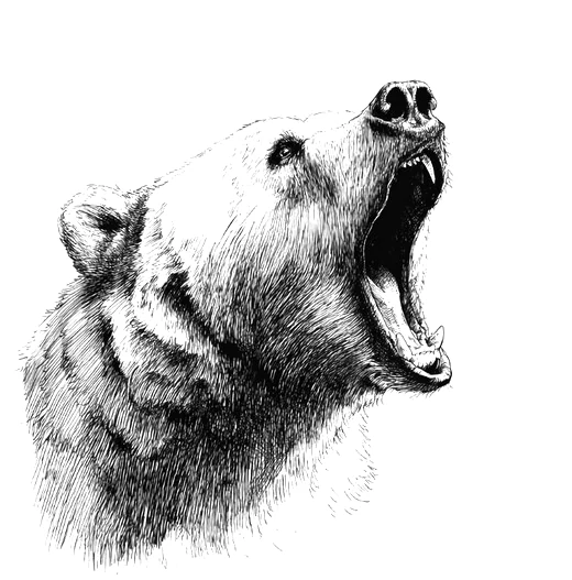Engraving illustrating today's bearish mood