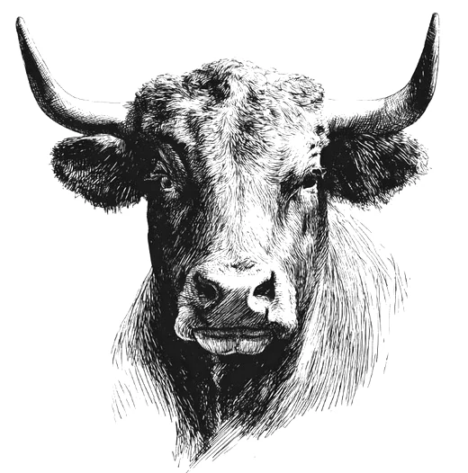 Engraving illustrating today's bullish mood